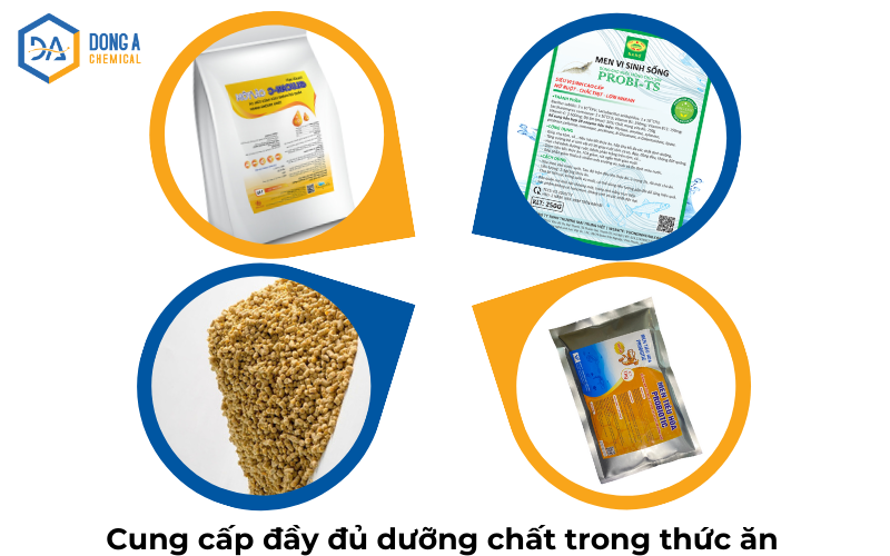 Cung cấp đầy đủ dưỡng chất cho tôm để hạn chế tình trạng tôm lột dính vỏ